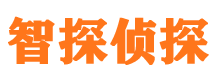 铜官山市婚外情调查